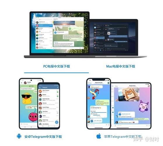 telei加速器下载,telegraph官网入口下载