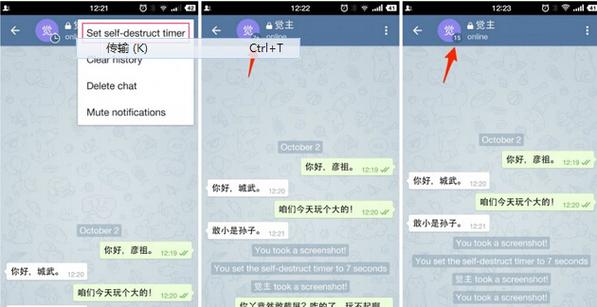 telegeam中文版下载:telegreat中文版下载