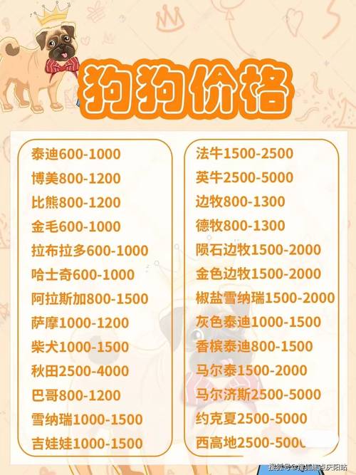狗狗币今日行情走势多少:狗狗币今日价格行情多少美元