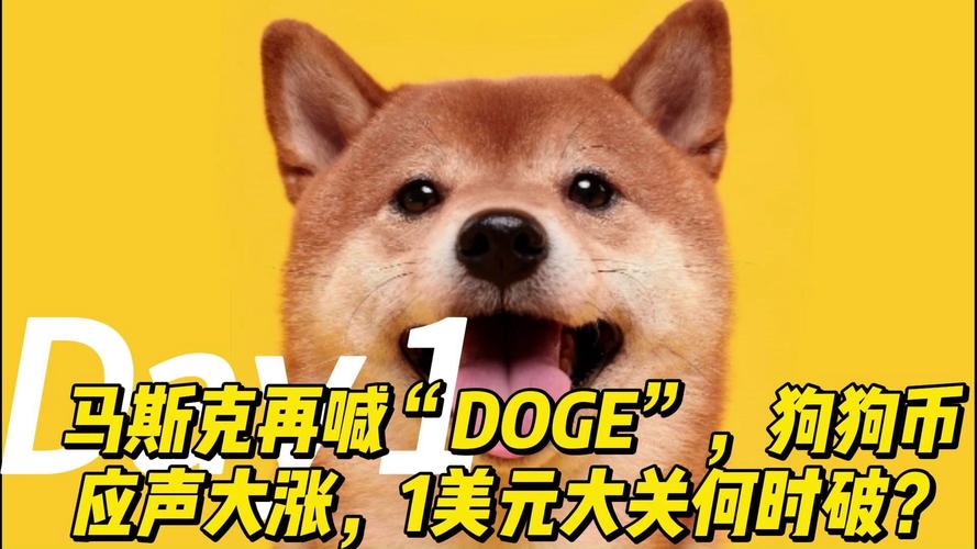 马斯克狗狗币最新消息今天:马斯克狗狗币最新消息今天发布