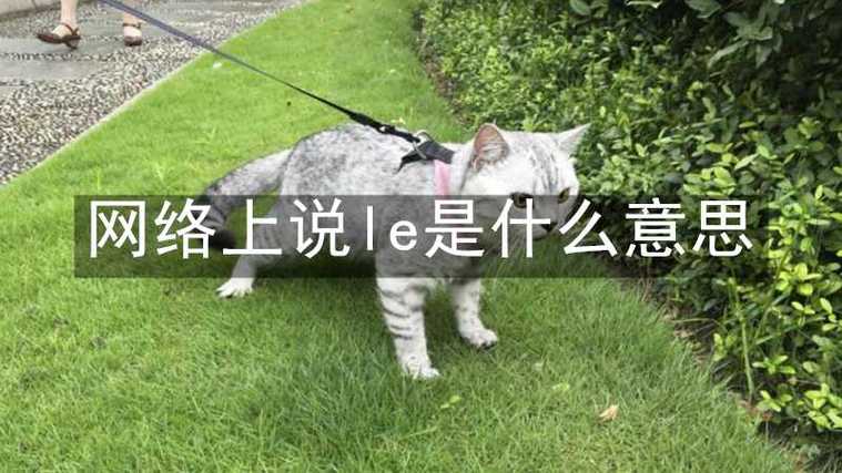 #le什么意思:女生说自己是le什么意思