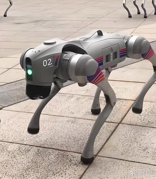 速狗加速器是什么:速狗加速器是什么东西