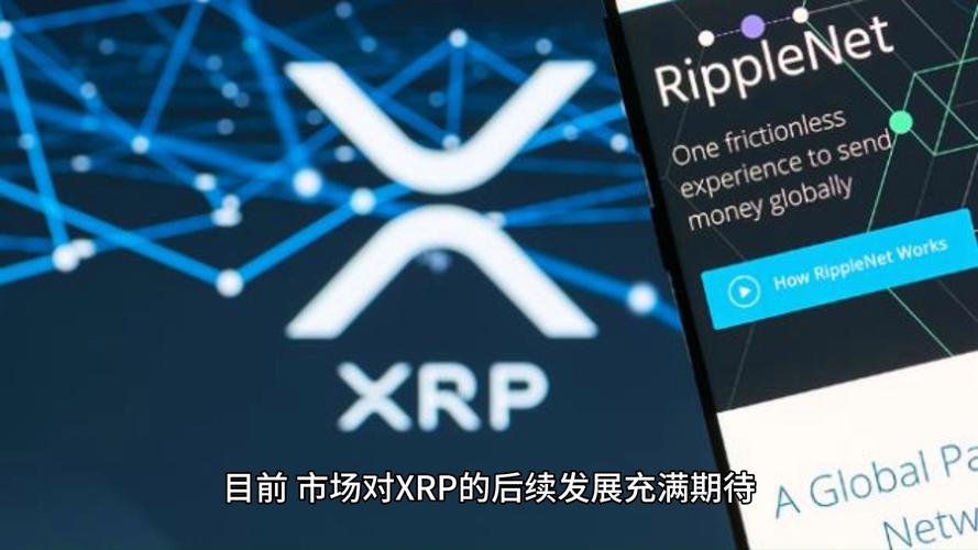 瑞波币官网:瑞波币官网入口
