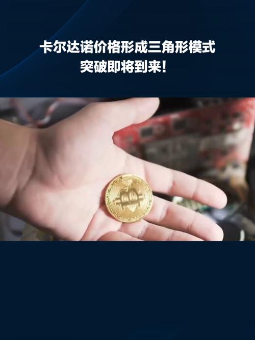 卡尔达诺故事介绍:卡尔达诺是什么币种