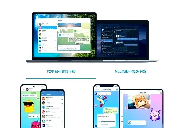 纸飞机账号免费大全:telegeram免费账号
