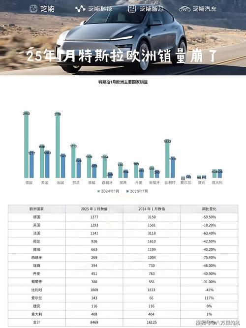 包含特斯拉股票代码300176的词条