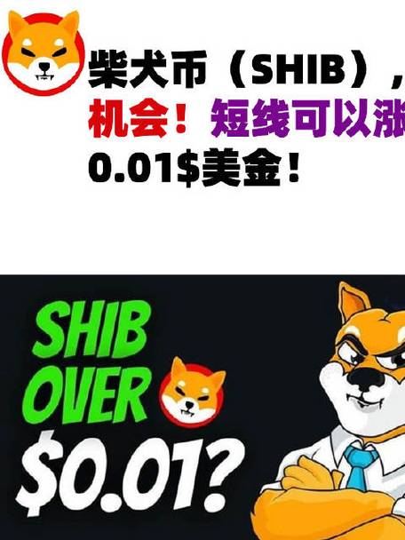 柴犬币涨到1美元可能性:柴犬币会涨到一分钱一个吗