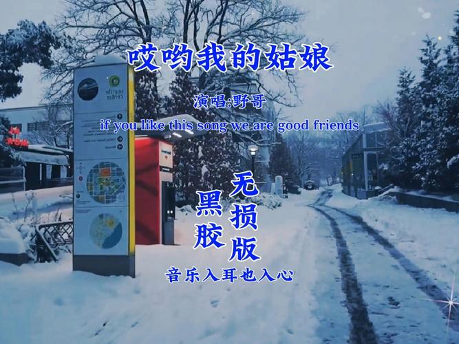 波哎波哎奈森波是什么歌的简单介绍