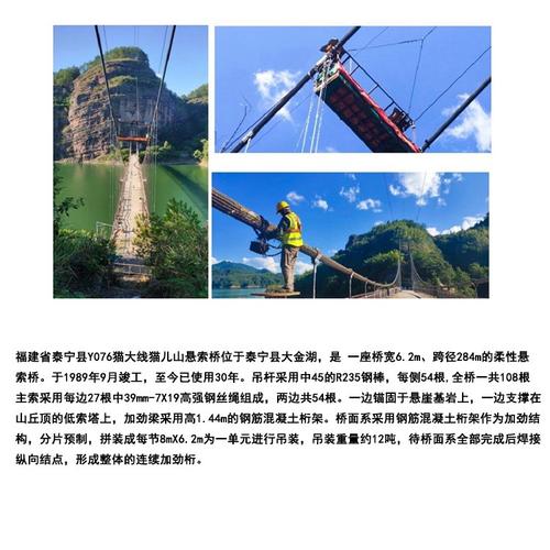 拉索厂家:拉索厂家市场占比排名