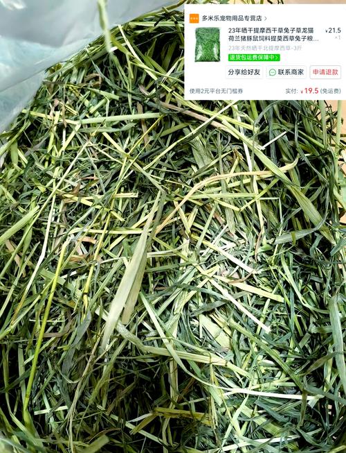 什么是TIM:什么是提摩西草,带图