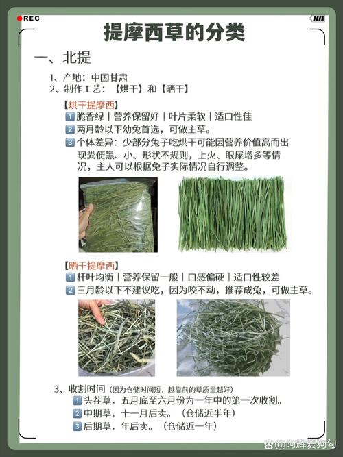 什么是提摩西草:什么是提摩西草和苜蓿草