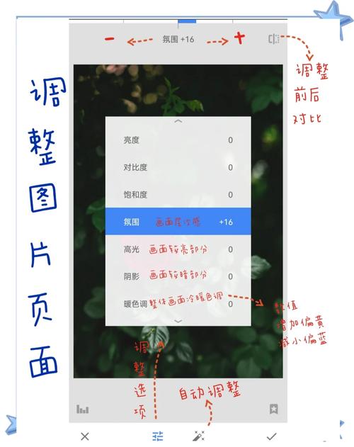 snapseed在线打开:snapseed教程打不开