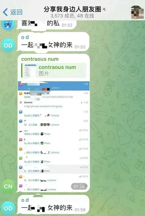 telegeam官网入口:telegram official website