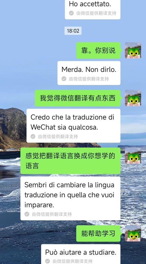line如何翻译聊天:line聊天工具会自动翻译