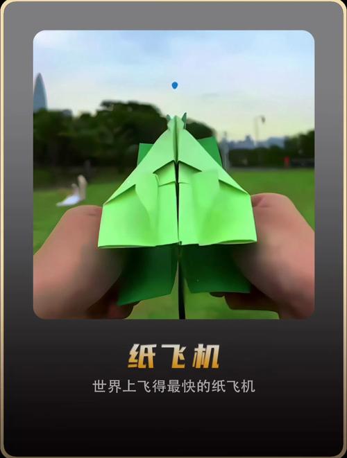 纸飞机缓存的视频在哪里:纸飞机缓存的视频在哪里看到
