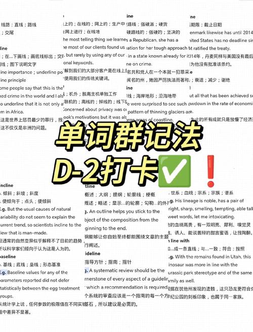 lineup怎么读:lineupplease怎么读