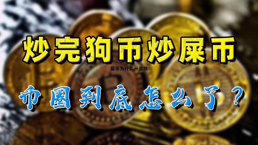 屎币最高价格多少:屎币最高能涨到多少