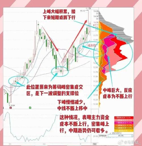 币市行情:币市行情筹码峰指标哪里有?
