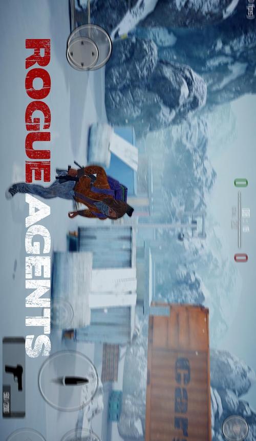 流氓特工下载安装:流氓特工0831