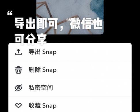 关于snapchat电脑可以使用吗的信息