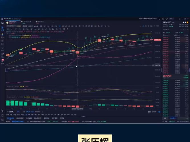 莱特币最新利好消息:莱特币能涨到10万吗
