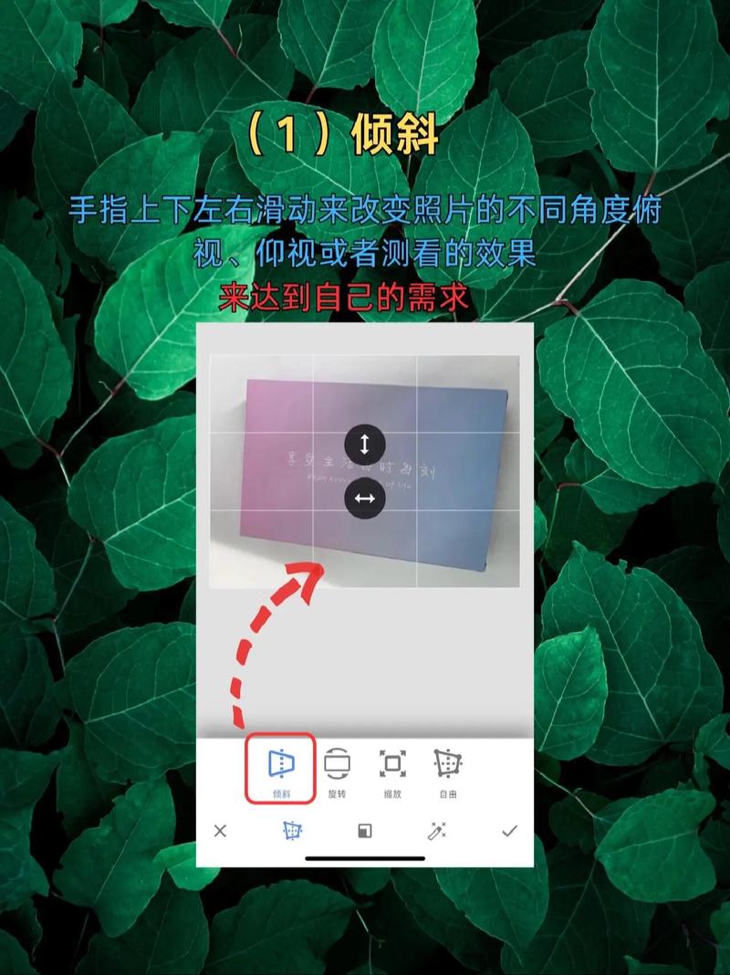 snapchat设置中文教程:snapchat在哪里改中文语言