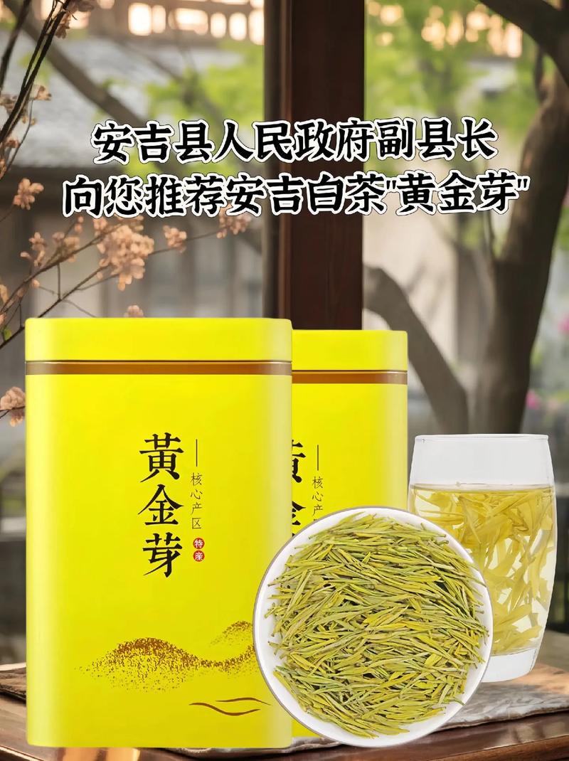 黄金芽:黄金芽产地