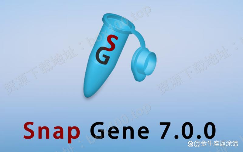 snapchat是什么股票:snap stock price