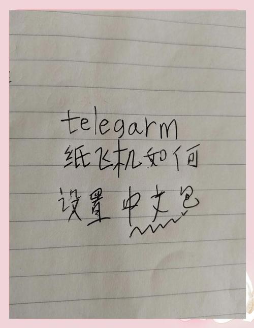 纸飞机中文版:纸飞机中文版怎么设置