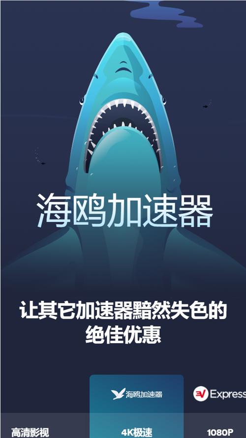 海鸥加速器永久免费版:海鸥加速器永久免费版2024