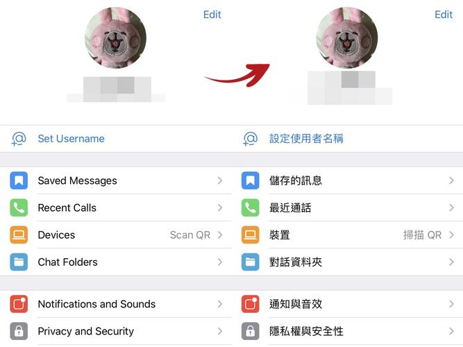 telegraphy翻译:telegraphy翻译成中文