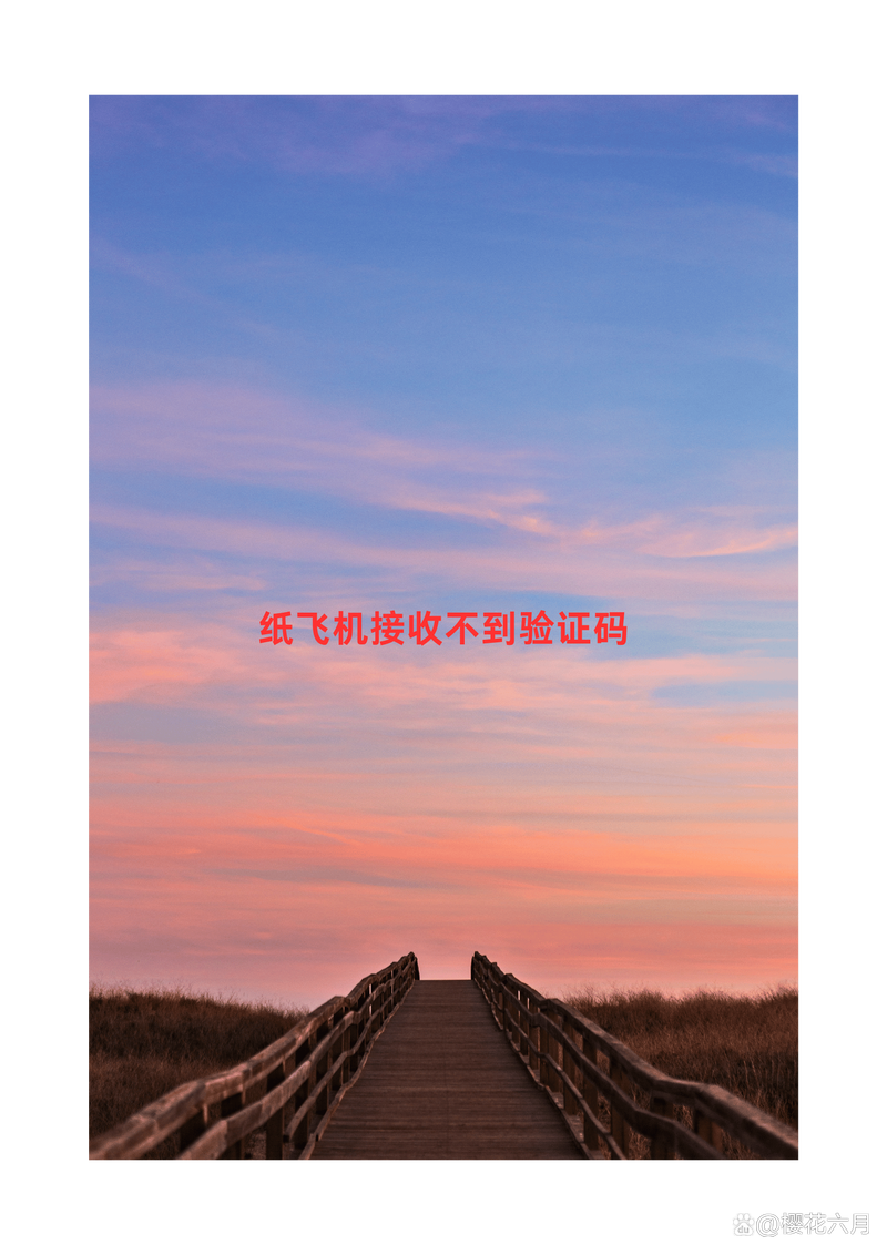 安卓版纸飞机怎么登陆:国内安卓怎么登陆纸飞机