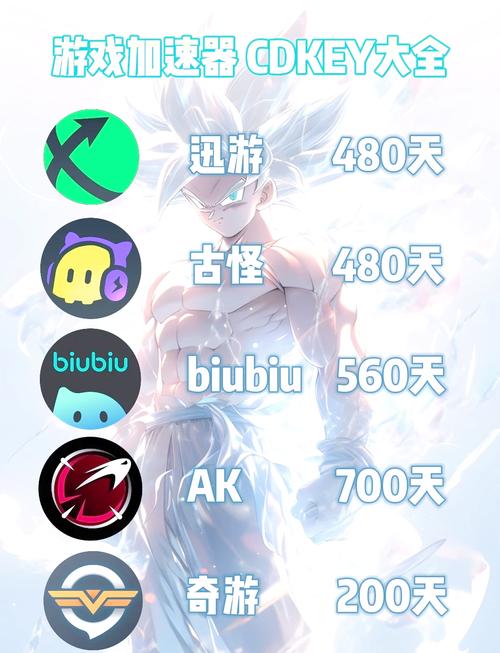加速器兑换码在哪里:加速器兑换码在哪里输入