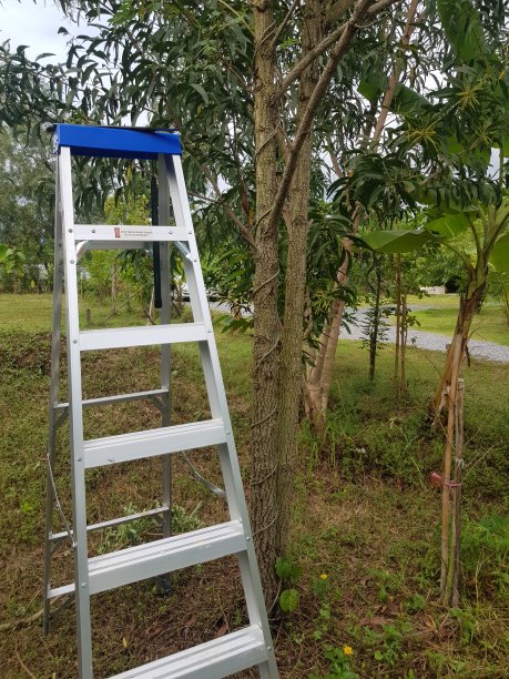 苹果手机用的免费梯子，苹果手机能用的免费梯子