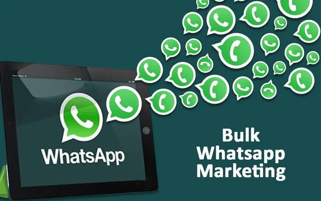 whatsapp中文怎么念，whatsapp怎么翻译成中文