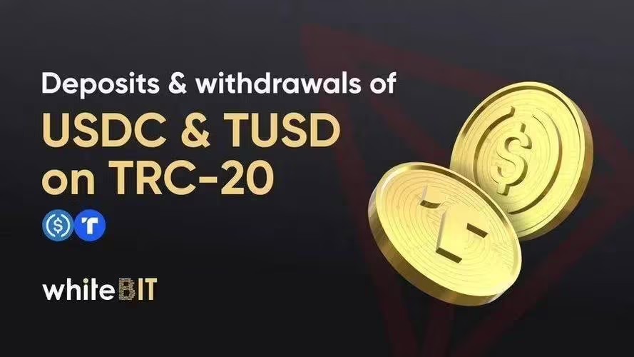 usdttrc20怎么下载，usdt erc20怎么下载