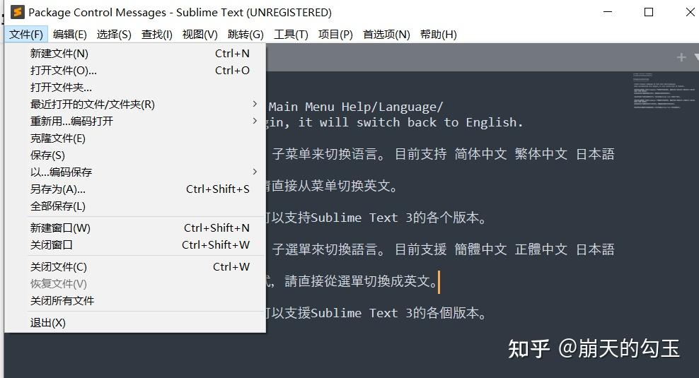 纸飞机怎么设置中文语言，纸飞机怎么设置中文语言包