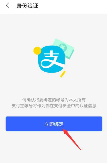 pt钱包怎么下载，pt钱包app下载