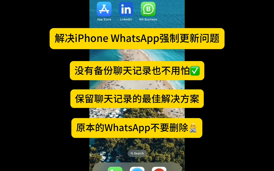 whatsapp不能下载文件-whatsapp不能下载怎么办