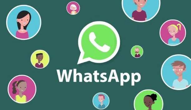 whatsapp怎么加好友教程的简单介绍