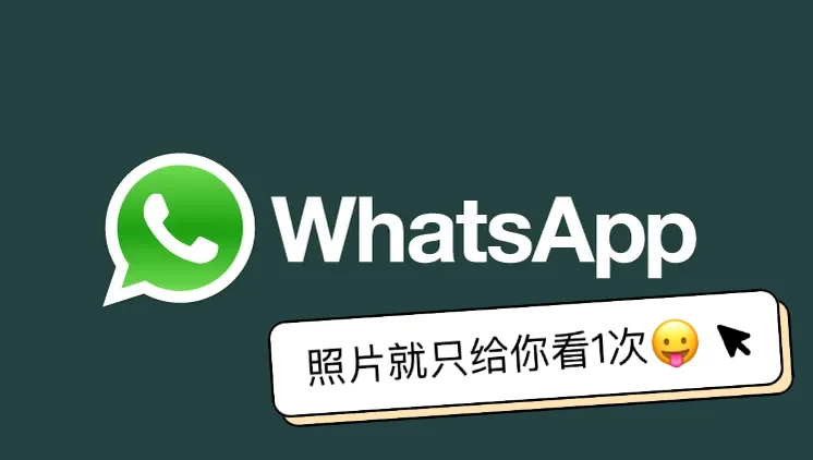 手机版whatsapp怎么加好友-手机版whatsapp如何添加联系人