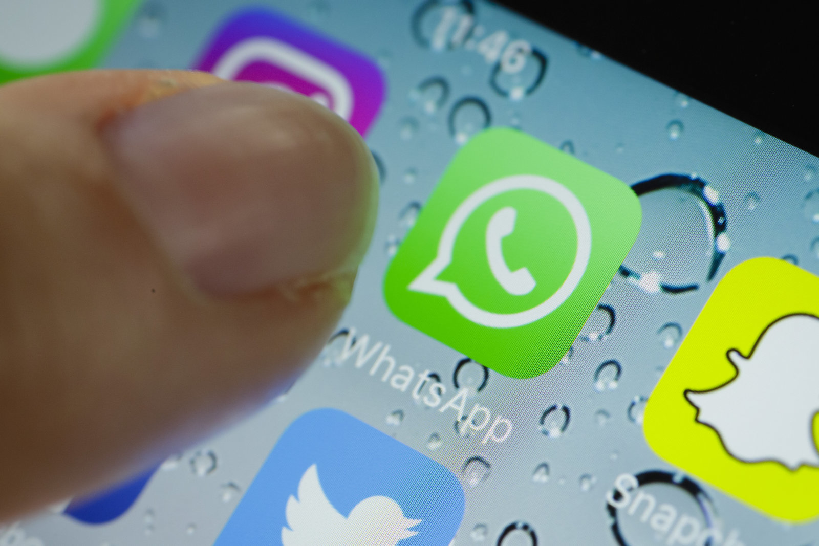 whatsapp中文怎么念-whatsapp怎么中英文互译