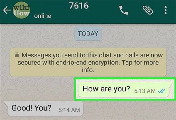 whatsapp中文下载安装-whatsapp最新官方下载中文