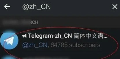 telegram怎么调汉语-telegram怎么改成汉语