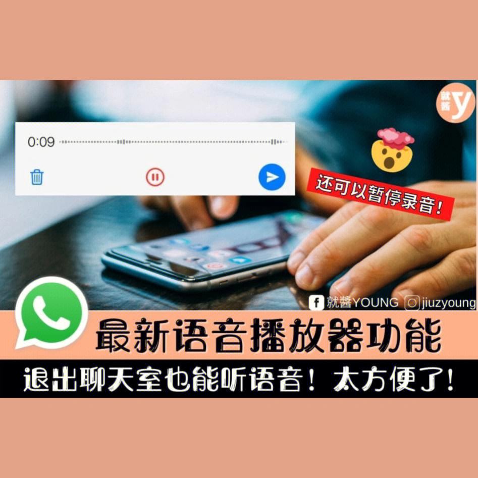 whatsapp下载不了语音-下载whatsapp 怎么用不了