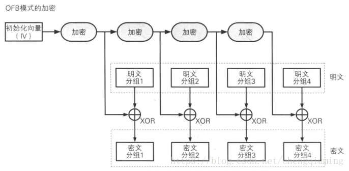 token钱包注册流程-token pocket钱包怎么注册