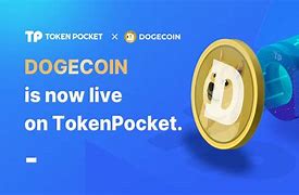 tokenpocket官网下载-tokenpocket官网下载安卓