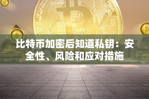 知道私钥怎么提取比特币的钱-知道私钥怎么提取比特币的钱呢