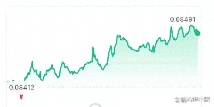 加密货币成为赢家-加密货币的两大传闻