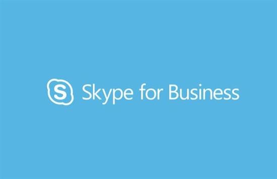 skype软件是干什么的-skype是什么软件 怎么使用